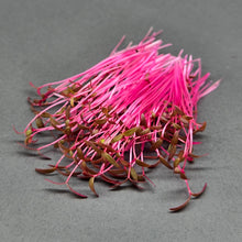 Load image into Gallery viewer, Amaranth