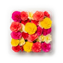 Load image into Gallery viewer, Edible Flower - Begonia