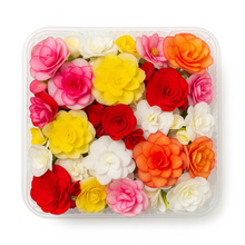 Load image into Gallery viewer, Edible Flower - Begonia