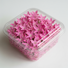 Load image into Gallery viewer, Edible Flowers - Pentas (50-60pcs)