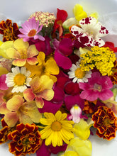 Load image into Gallery viewer, Edible Flowers - Season Mix (30 pcs)