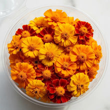 Load image into Gallery viewer, Edible Flowers - French Marigolds (20pcs)