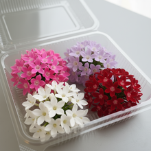 Load image into Gallery viewer, Edible Flowers - Pentas (50-60pcs)