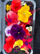 Load image into Gallery viewer, Edible Flowers - Season Mix (30 pcs)