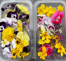Load image into Gallery viewer, Edible Flowers - Season Mix (30 pcs)