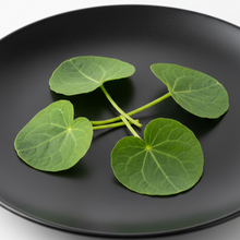 Load image into Gallery viewer, Nasturtium