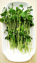 Load image into Gallery viewer, Pea (Speckled)