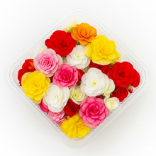 Load image into Gallery viewer, Edible Flower - Begonia
