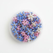 Load image into Gallery viewer, Edible Flowers - Borage

