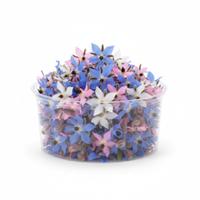 Load image into Gallery viewer, Edible Flowers - Borage
