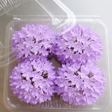 Load image into Gallery viewer, Edible Flowers -  Pentas (60pcs)
