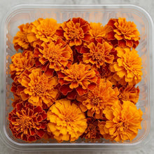Load image into Gallery viewer, Edible Flowers - French Marigolds (20pcs)
