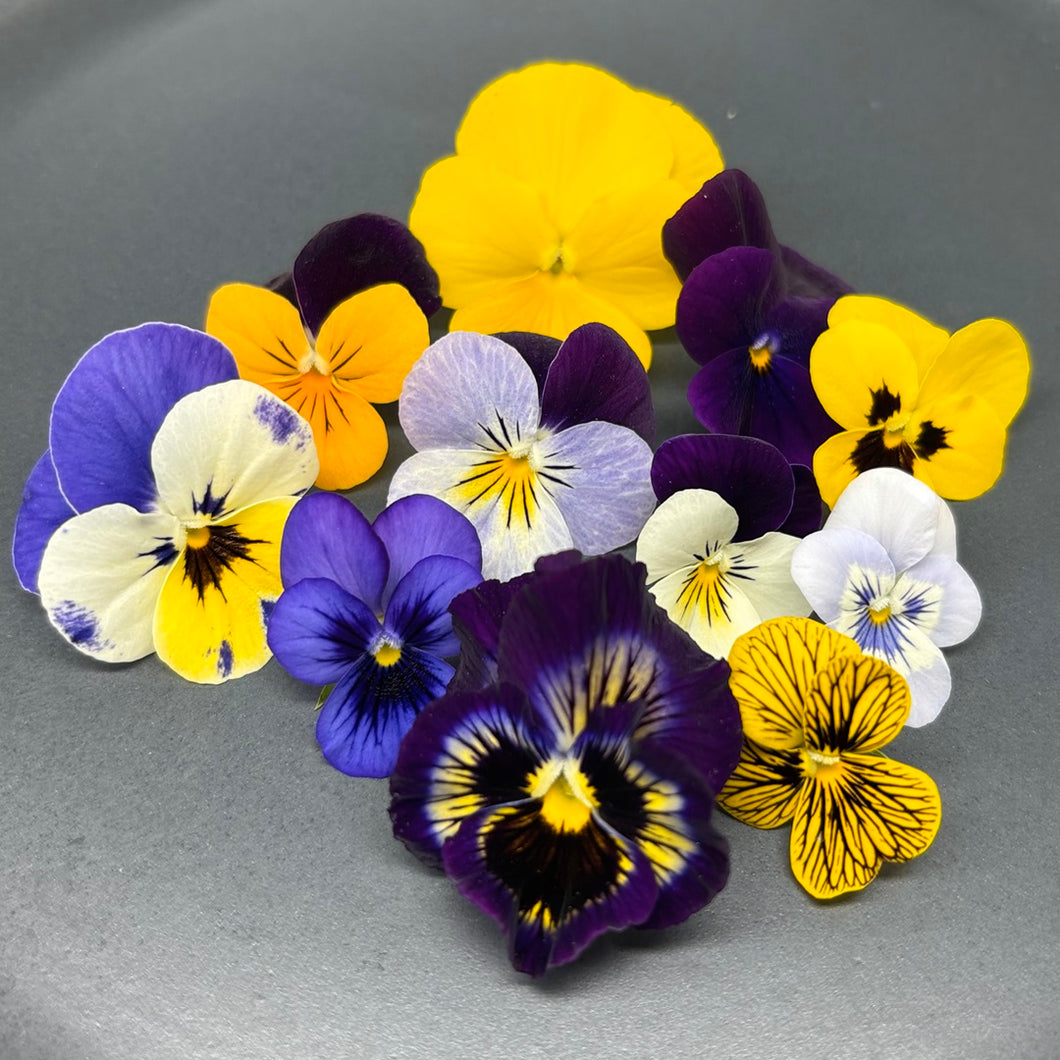 Edible Flowers - Pansies and Violas (30pcs)