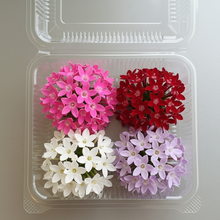 Load image into Gallery viewer, Edible Flowers -  Pentas (50-60pcs)
