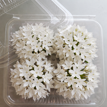 Load image into Gallery viewer, Edible Flowers -  Pentas (60pcs)
