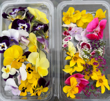 Load image into Gallery viewer, Bae Greens Edible Flowers
