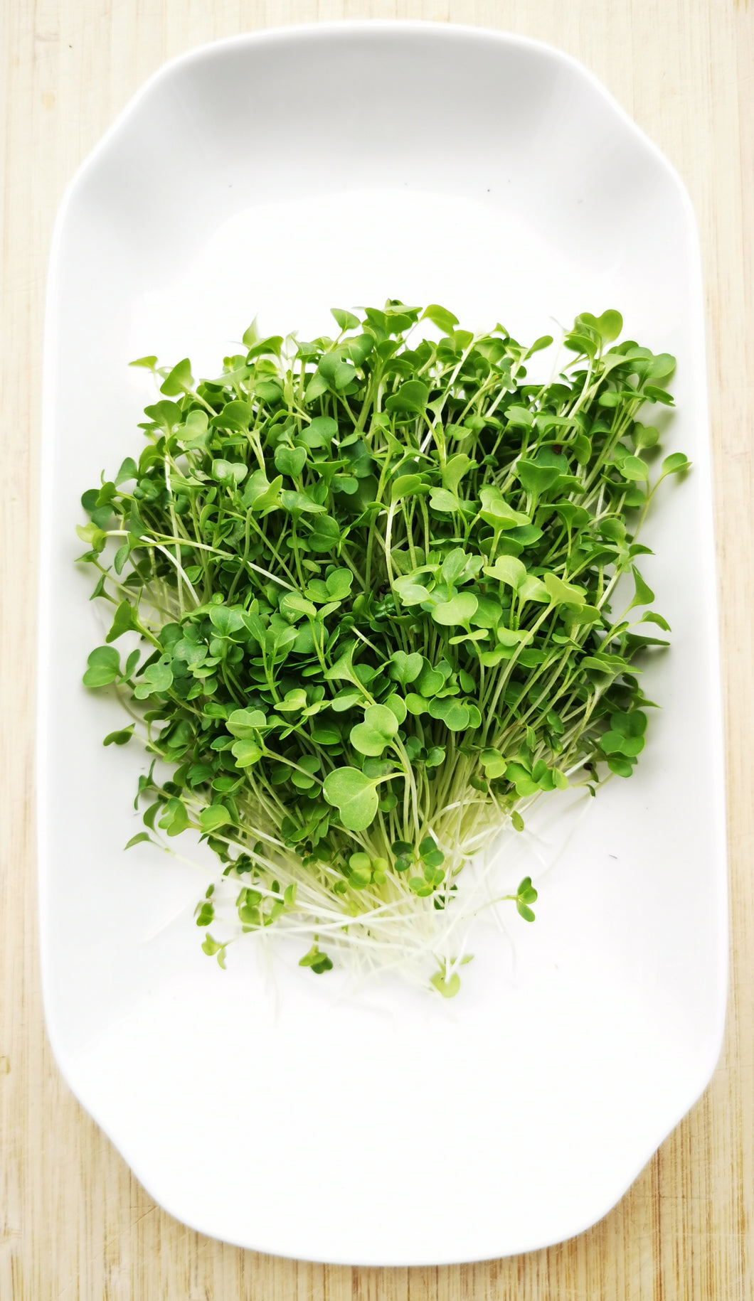 Broccoli Microgreens